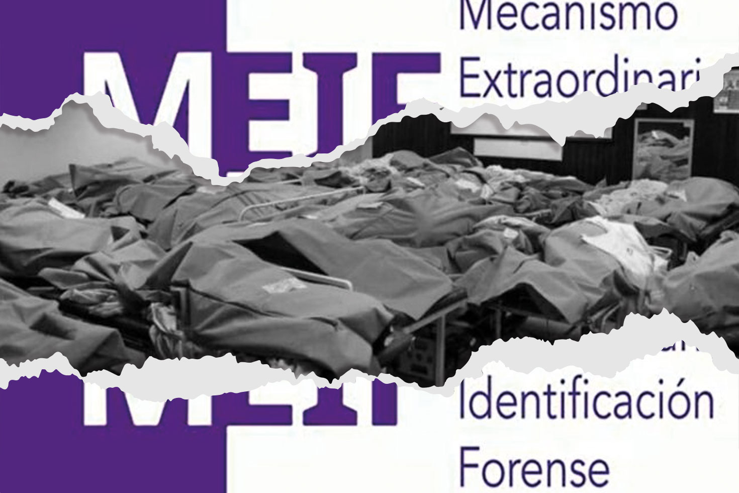 MEIF Crisis forense